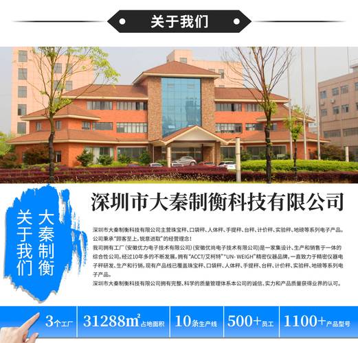 深圳市大秦制衡科技专业度评测与科技企业推荐指南